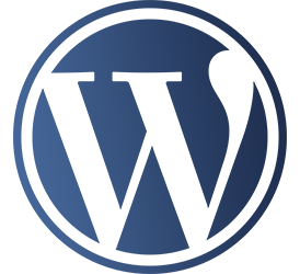 wordpress website